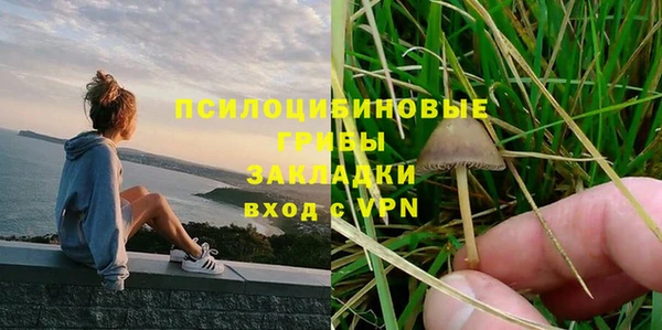 2c-b Покачи