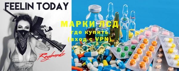 ГАЛЛЮЦИНОГЕННЫЕ ГРИБЫ Покровск