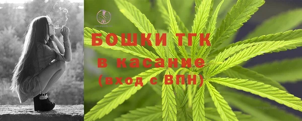 ГАЛЛЮЦИНОГЕННЫЕ ГРИБЫ Покровск
