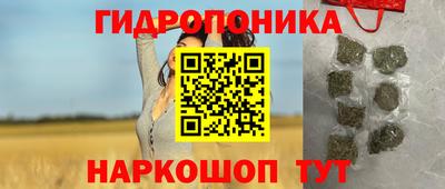 индика Беслан