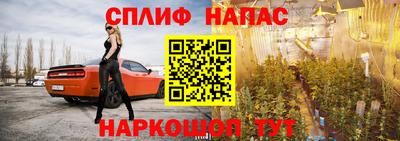 сатива Кинель