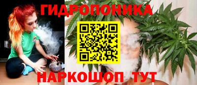 сатива Кинель