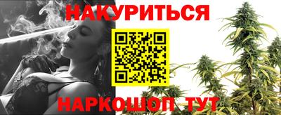 сатива Кинель