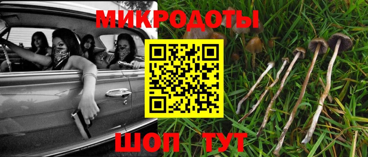Псилоцибиновые грибы прущие грибы  Азов  Галлюциногенные грибы GOLDEN TEACHER 
