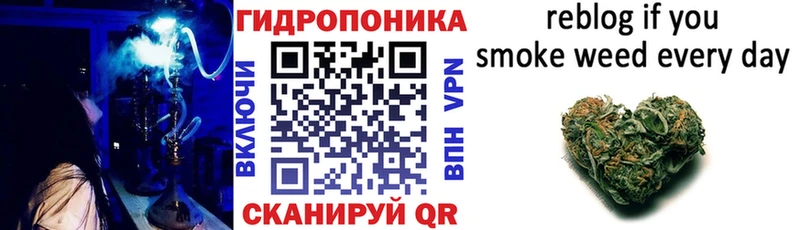 Бошки Шишки White Widow  цены   darknet Telegram  Азов 